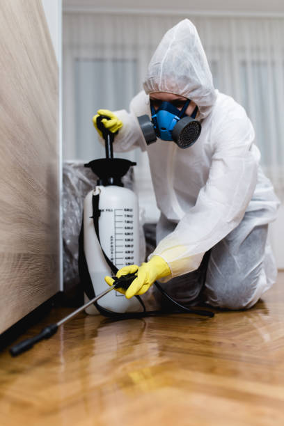 Best Termite Inspection and Treatment  in Charlevoix, MI